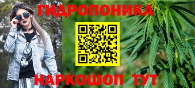 сатива Анапа