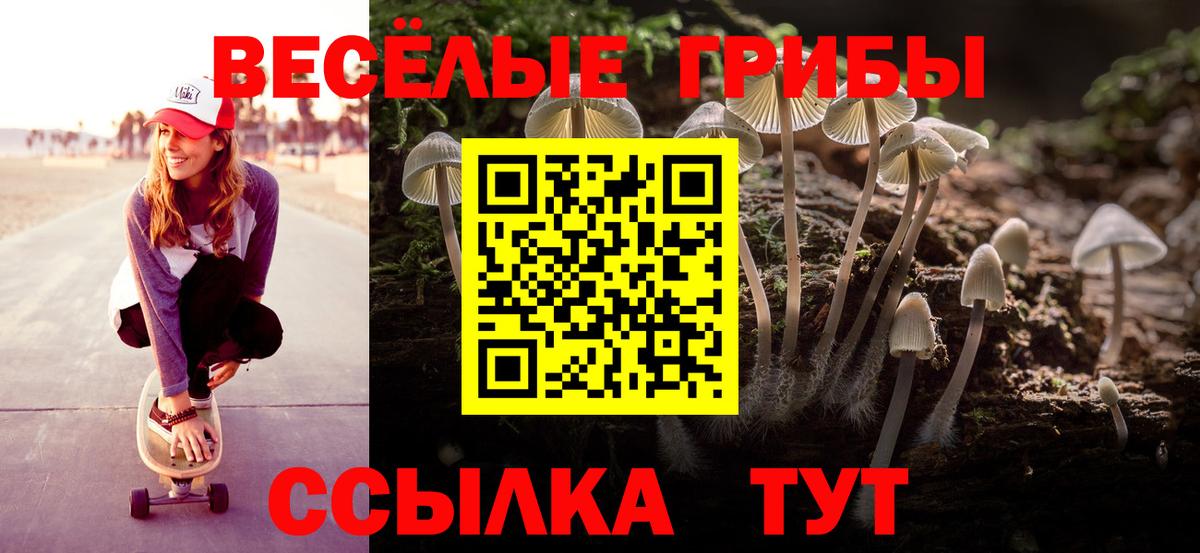 Галлюциногенные грибы MAGIC MUSHROOMS Троицк