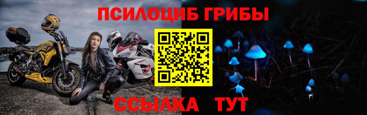 Троицк  Псилоцибиновые грибы MAGIC MUSHROOMS  Вход с VPN 